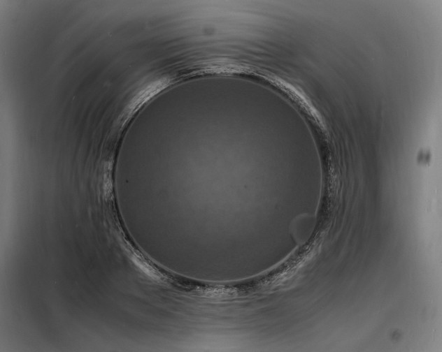 X0000098180889200804241219