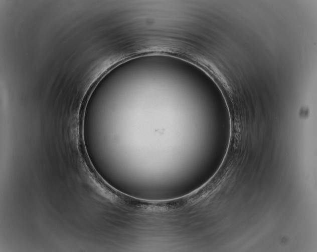 X0000098180890200804241219