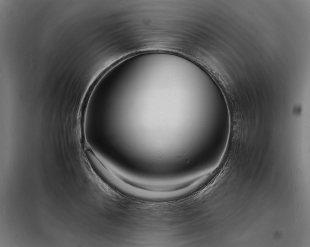 X0000098180892200804241219