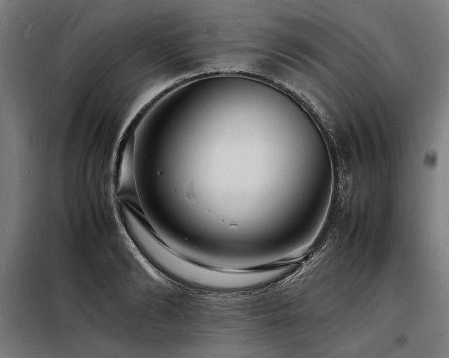 X0000098180894200804241219