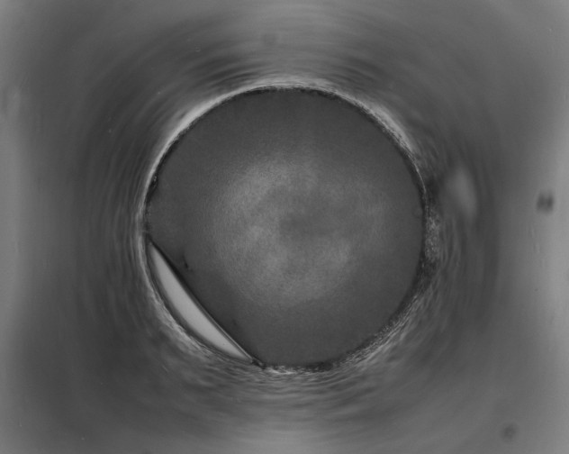 X0000098180895200804241219