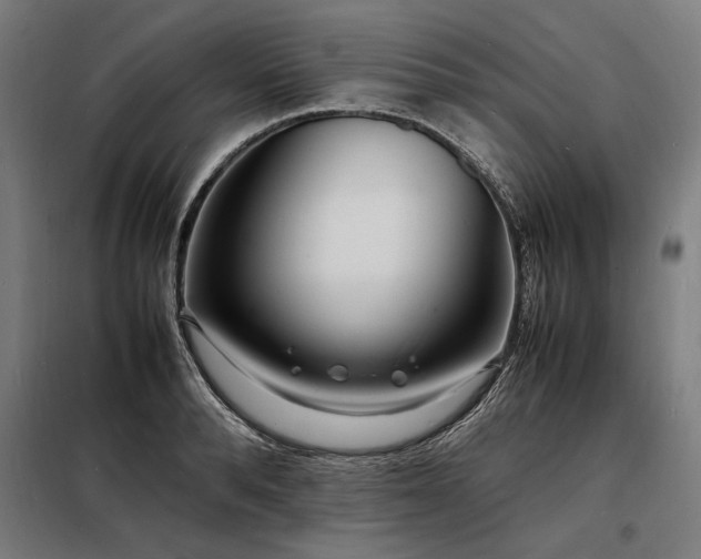 X0000098180896200804241219