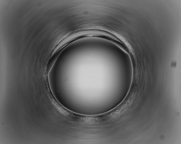 X0000098180897200804241219
