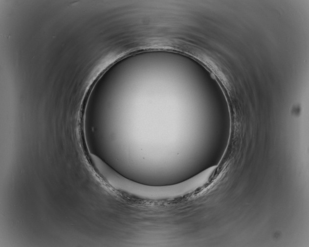 X0000098180901200804241219