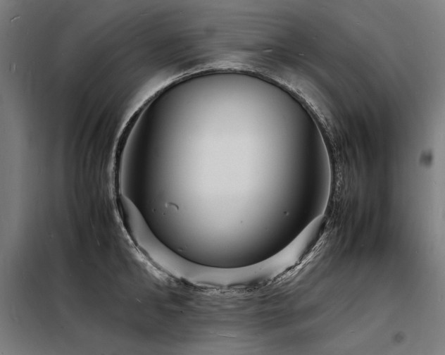 X0000098180902200804241219