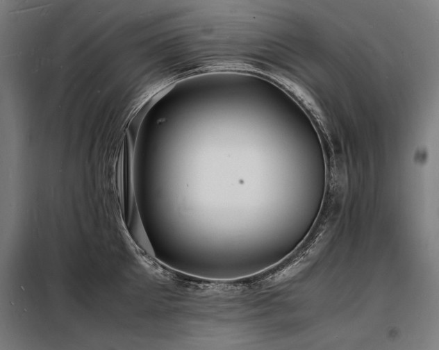 X0000098180905200804241219