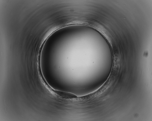 X0000098180906200804241219