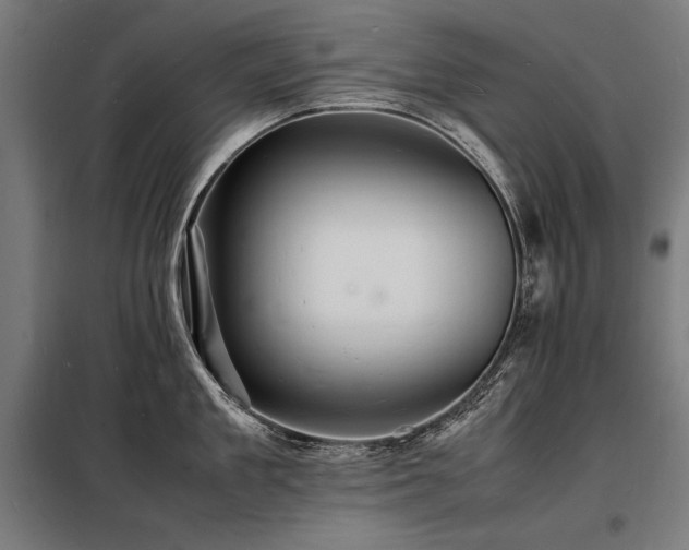 X0000098180909200804241218
