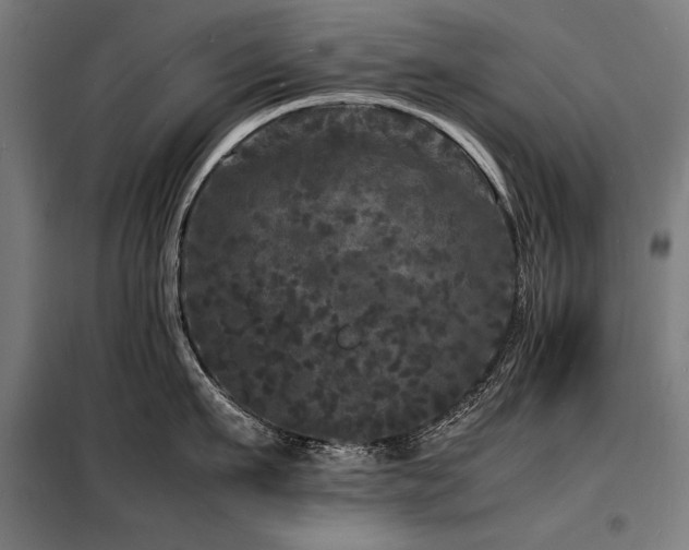 X0000098180911200804241218