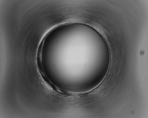 X0000098180912200804241218