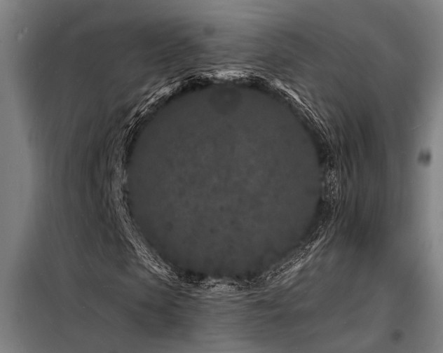 X0000098180913200804241218