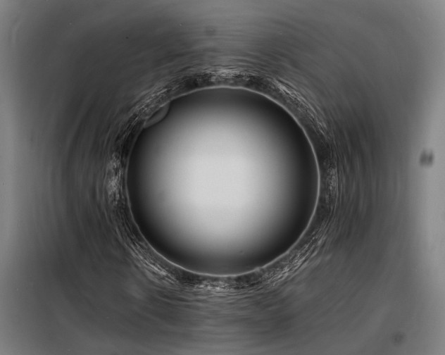 X0000098180914200804241218