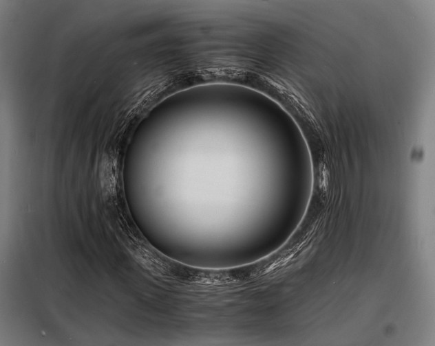 X0000098180915200804241218