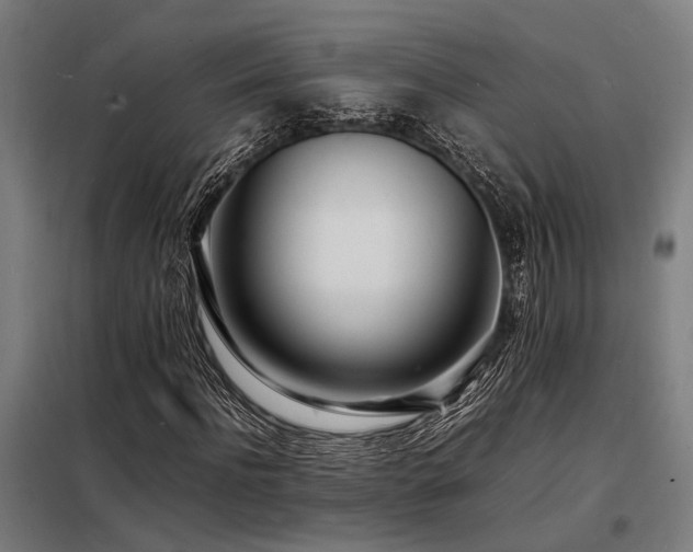 X0000098180916200804241218