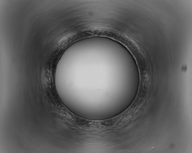 X0000098180918200804241218