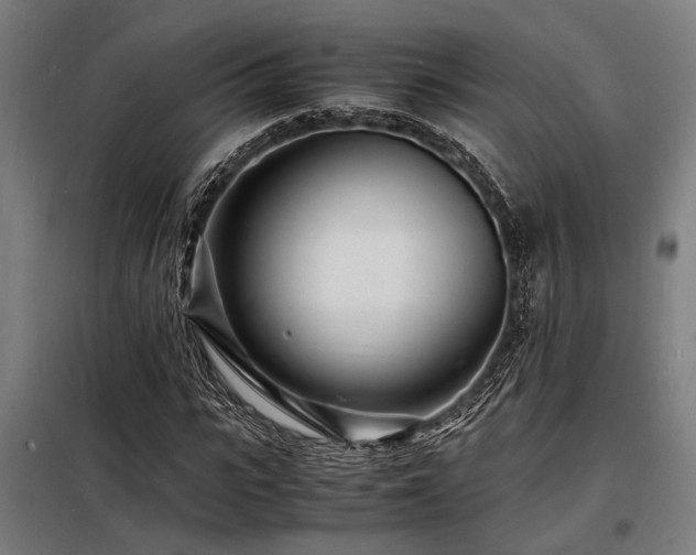 X0000098180919200804241218