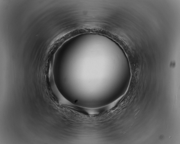 X0000098180920200804241218