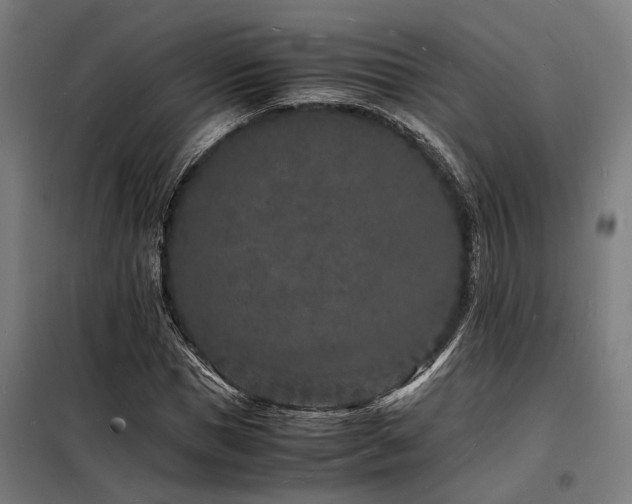 X0000098180921200804241218