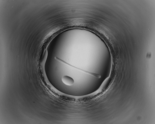 X0000098180922200804241218