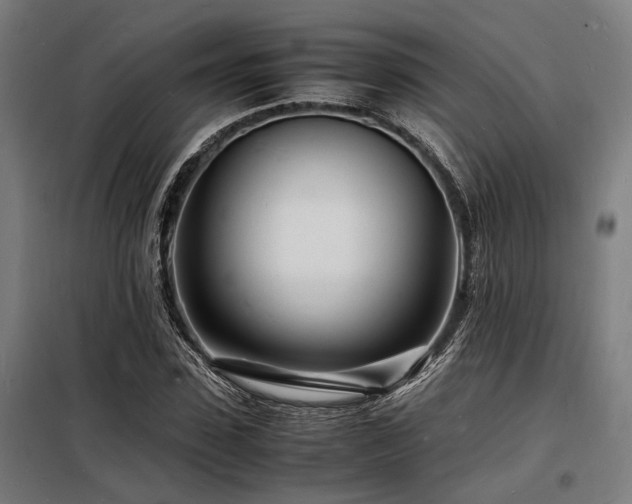 X0000098180923200804241218