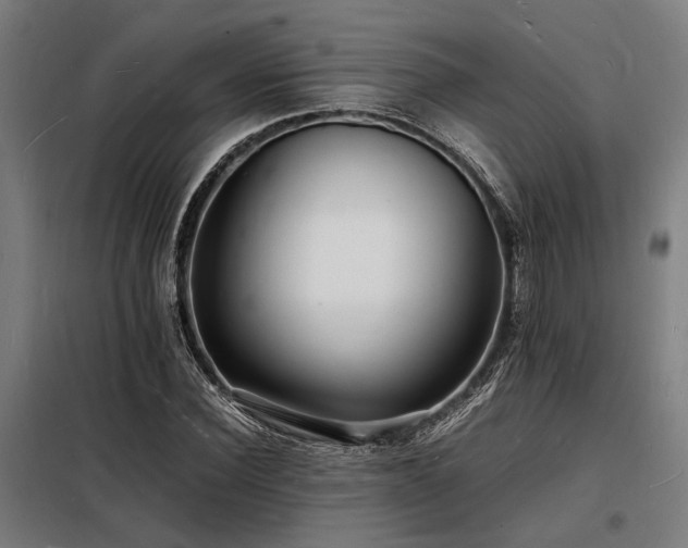 X0000098180924200804241218