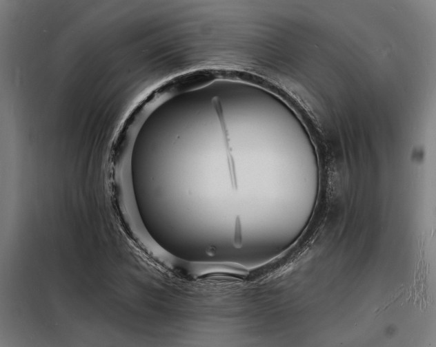 X0000098180926200804241218