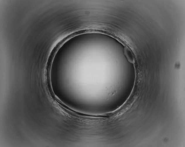 X0000098180928200804241218