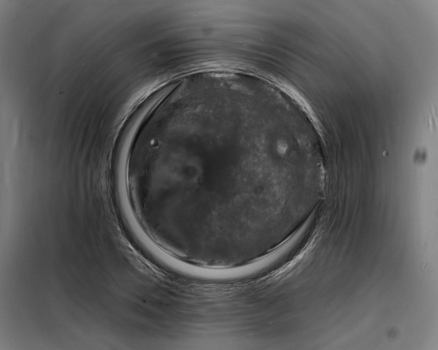 X0000098180930200804241218