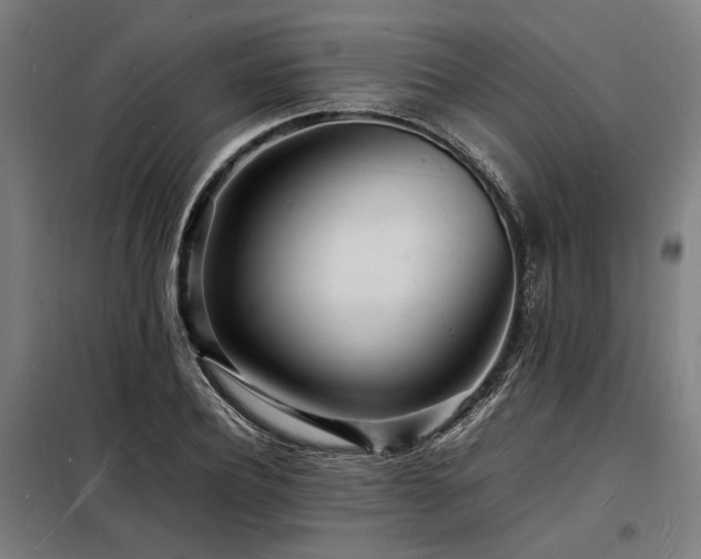 X0000098180932200804241218