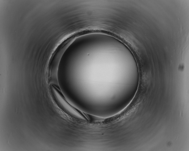 X0000098180934200804241218