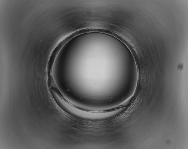 X0000098180935200804241218