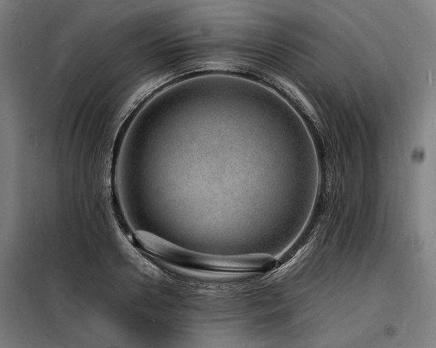 X0000098180938200804241218