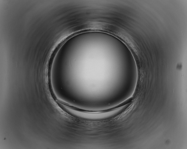 X0000098180939200804241218