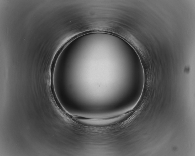 X0000098180940200804241218