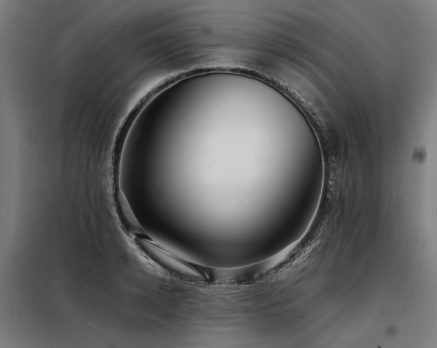 X0000098180942200804241218