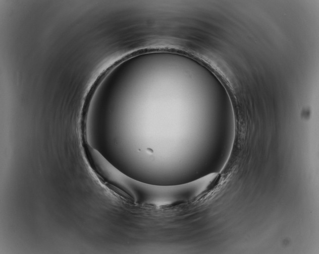 X0000098180943200804241218