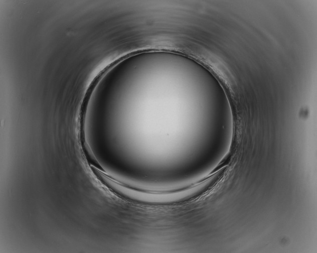 X0000098180944200804241218