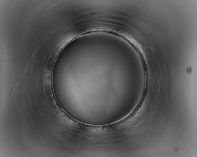 X0000098180945200804241218