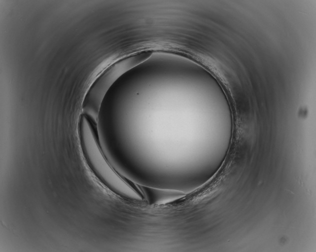 X0000098180946200804241218
