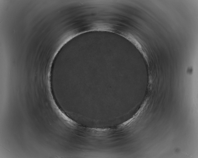 X0000098180947200804241218