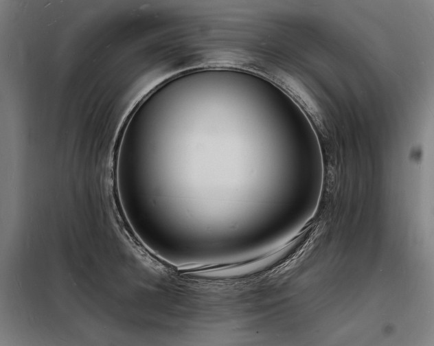 X0000098180948200804241218