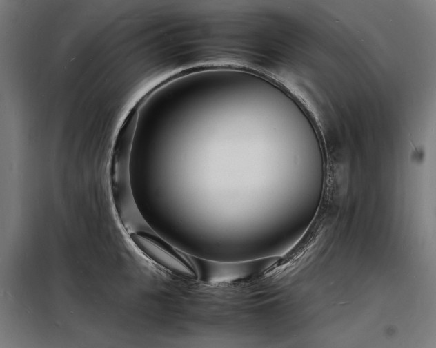 X0000098180951200804241218