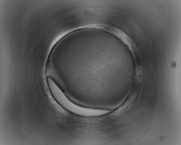 X0000098180952200804241218