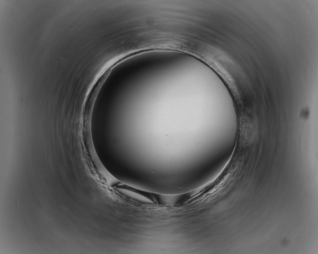 X0000098180956200804241218