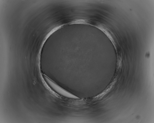 X0000098180957200804241218