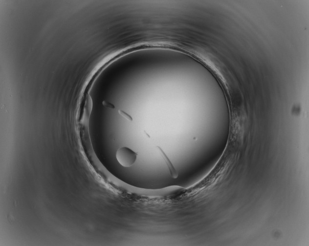 X0000098180959200804241218