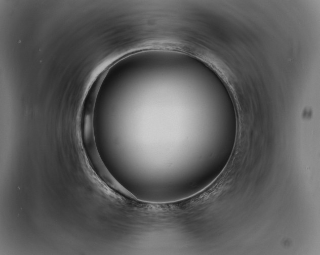 X0000098180960200804241218