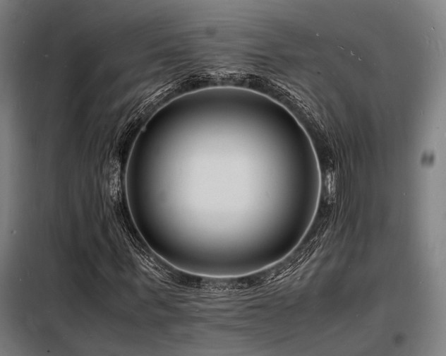 X0000098180963200804241218