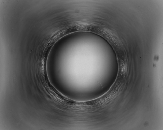 X0000098180964200804241218