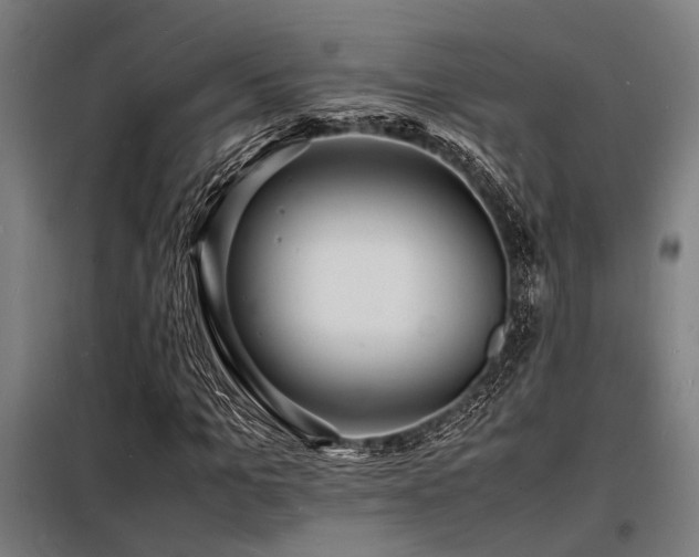 X0000098180965200804241218